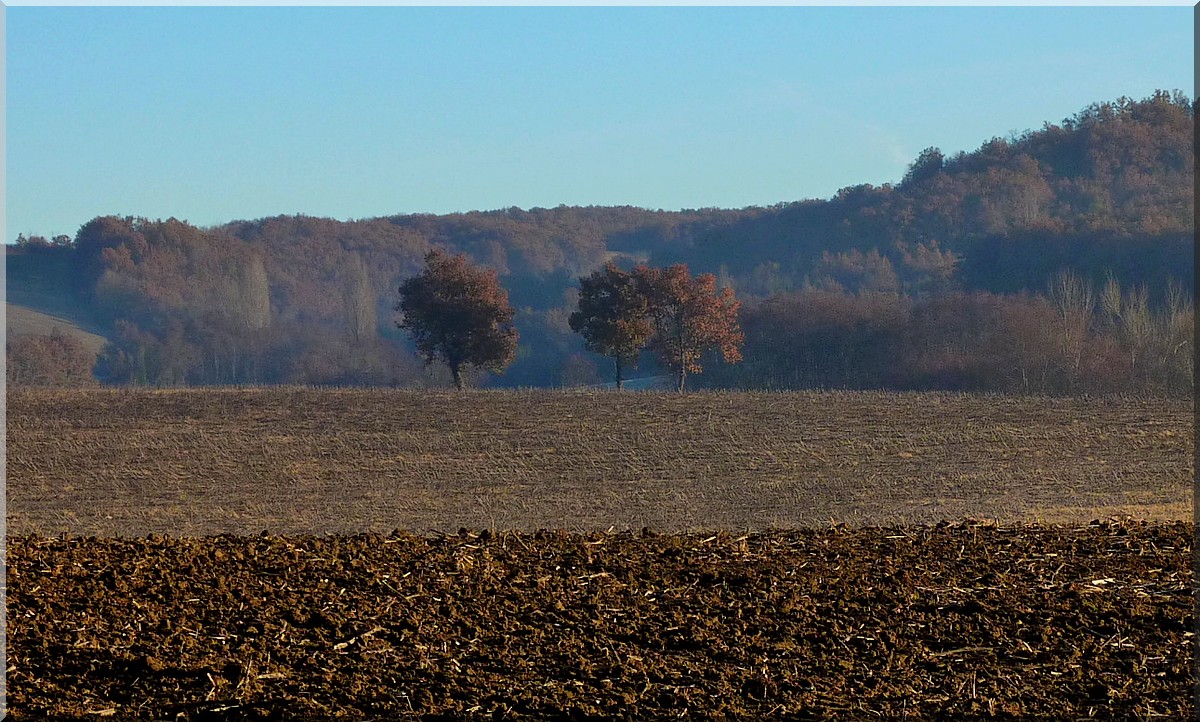 campagne tarnaise dec2013